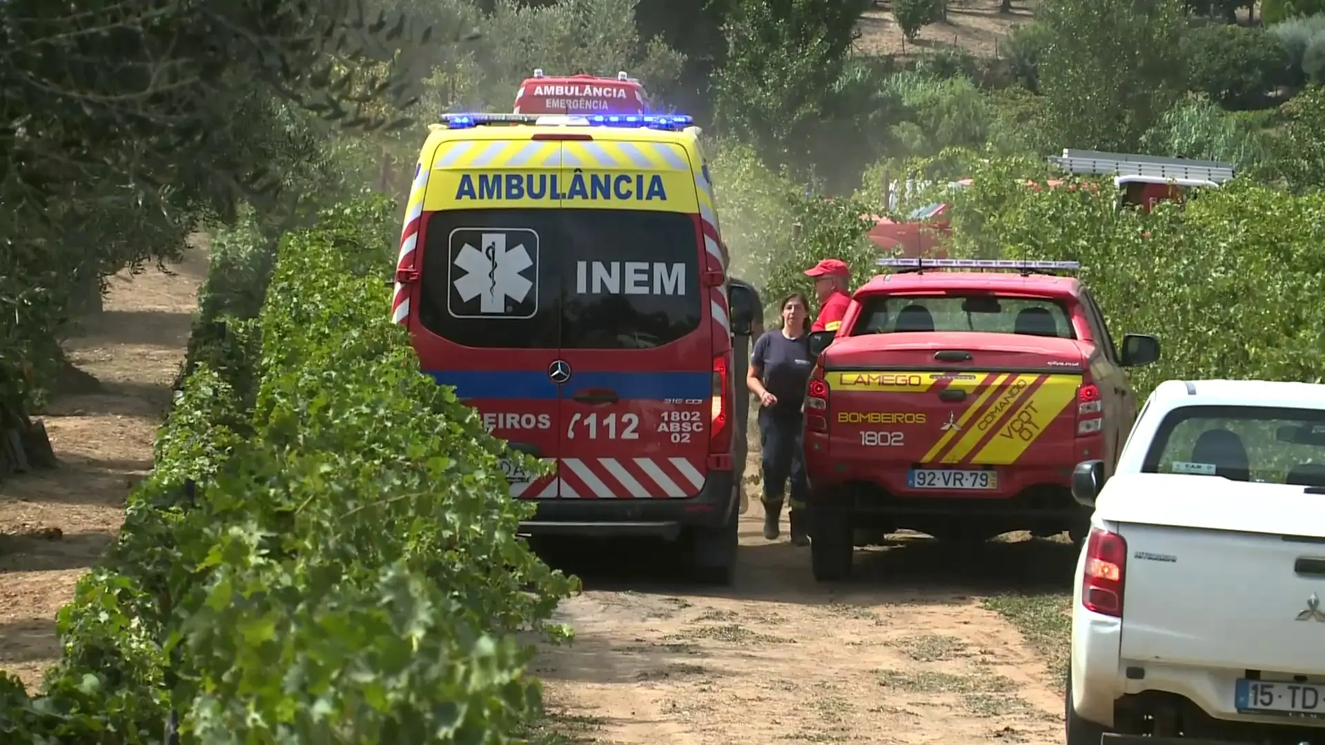 Retirado um corpo do helicóptero que caiu no Douro, operações de busca prosseguem